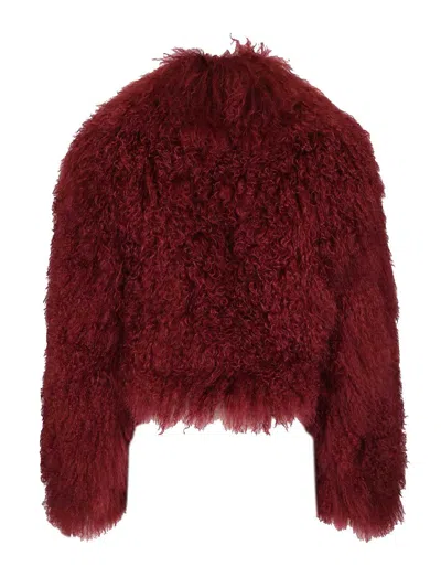 Numero Otto Mongolia Coats Bordeaux In Red