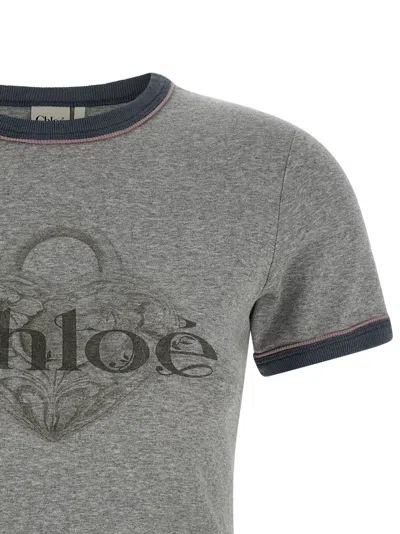Chloé Baby Fit T-shirt With Logo In Cotton Jersey In Gray