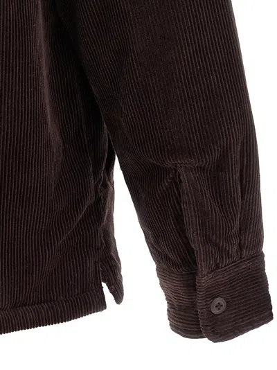 Carhartt Camicia Whitsome Shirt Jac Palisander In Brown
