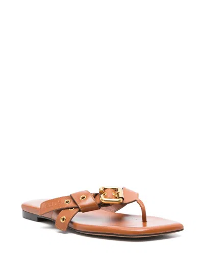 Chloé Brown Flat Sandal With Gold Buckle In Brown