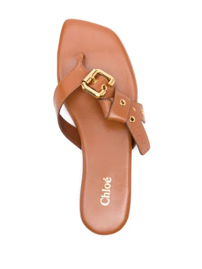 Chloé Brown Flat Sandal With Gold Buckle In Brown