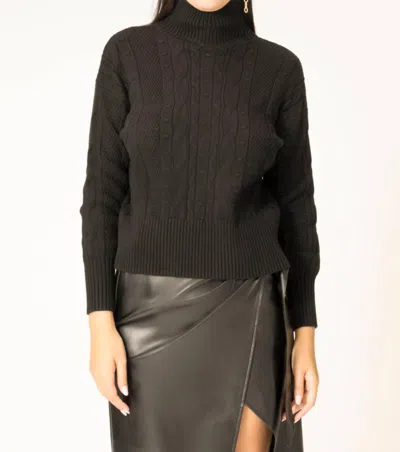 Area Stars Sophie Cable Center Knit Sweater In Black In Black