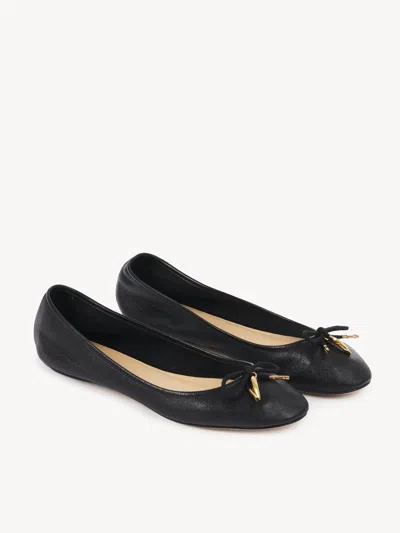 Chloé Iris Ballet Flats In Black