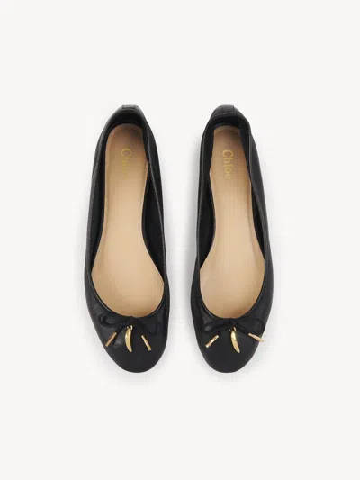 Chloé Iris Ballet Flats In Black