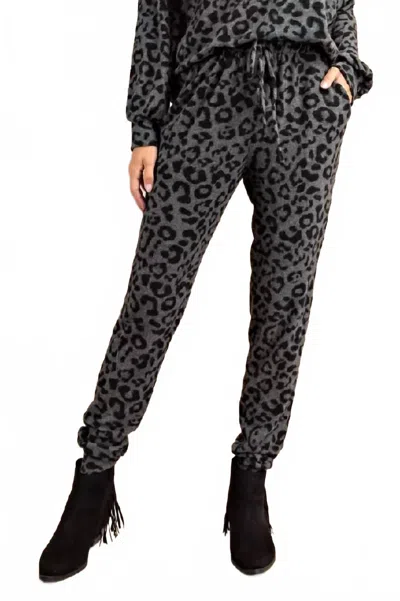 143 Story Leopard Lounge Jogger Pants In Black In Black