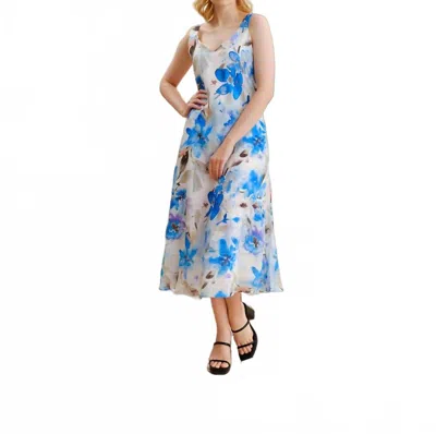 Diverse Group Casual Sleeveless Floral Maxi Dress In Blue Multi In Multi