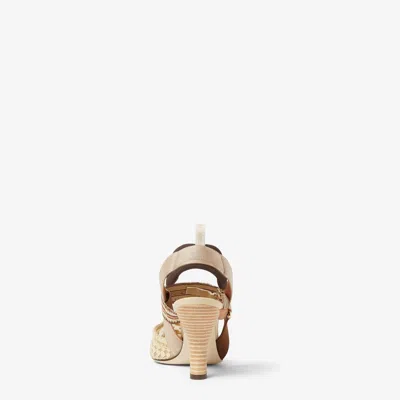 Fendi Colibri Rete Ricam.rafia Ff In Neutral