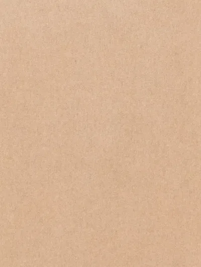 Canali Fringed Scarf In Brown