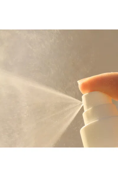 Oak Essentials Balancing Mist In Transparent