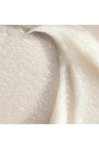 Oak Essentials Conditioning Lip Balm In Transparent