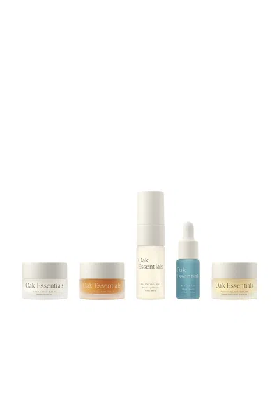 Oak Essentials Mini Routine In Transparent