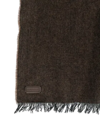 Canali Fringed Scarf In Brown