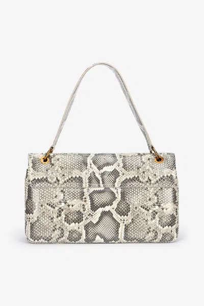 Roberto Cavalli Rock Python Print Chain Shoulder Bag In Brown