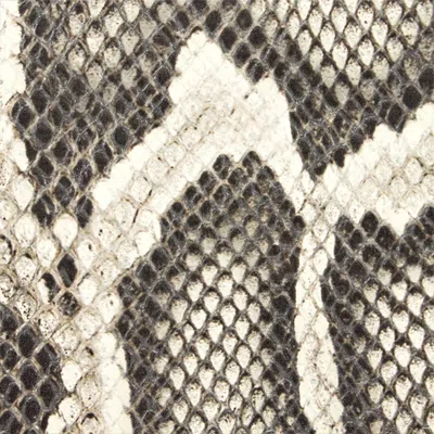 Roberto Cavalli Rock Python Print Chain Shoulder Bag In Brown