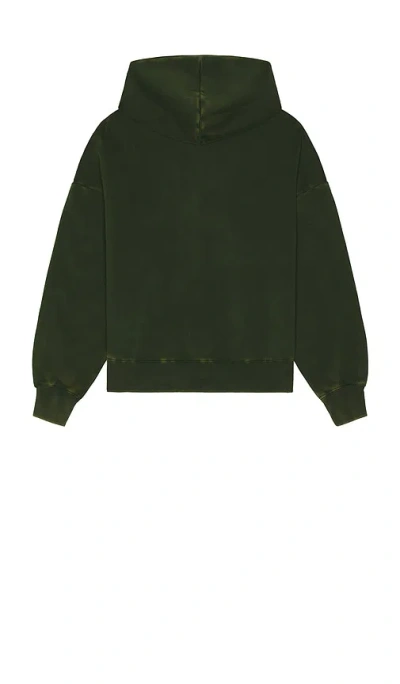 Jungles Looking Downward Hoodie In Green
