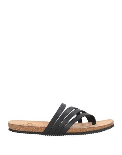 Yokono Woman Thong Sandal Black Size 7 Cowhide In Black