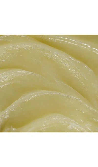 Oak Essentials Moisture Rich Balm In Transparent