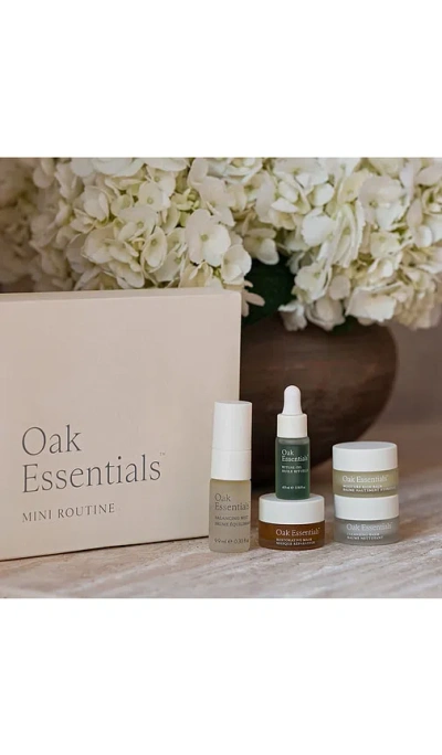 Oak Essentials Mini Routine In Transparent