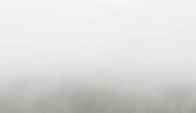 Ella Jayne Home Memory Fiber Pillow Cotton Luxurious Mesh Gusseted All Sleeper Queen Pillow In White