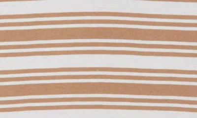 Rvca Seeing Stripes Short Sleeve Crop Tee In Brown