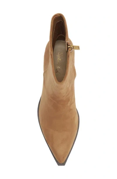 Splendid Sage Pointed Toe Bootie In Brown