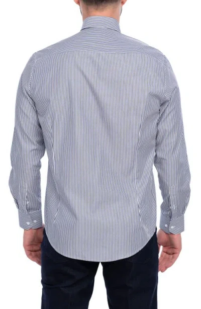 Vellapais Cosmos Slim Fit Cotton Dress Shirt In Blue