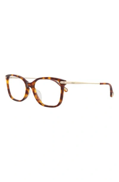 Chloé 54mm Rectangular Optical Glasses In Brown