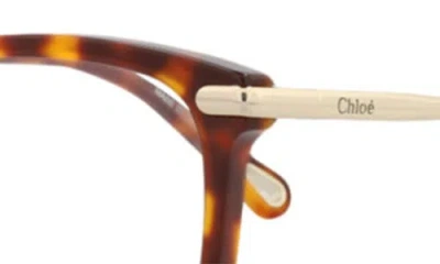 Chloé 54mm Rectangular Optical Glasses In Brown