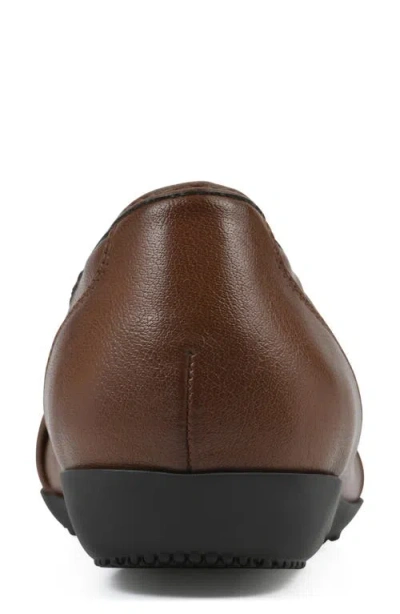 Cliffs By White Mountain Calming Buckle Strap Flat In Brown