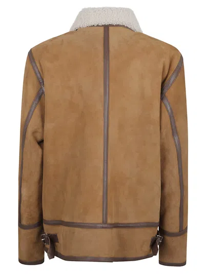 Dondup Shearling Collar Coat With Buckle And Pockets In Brown