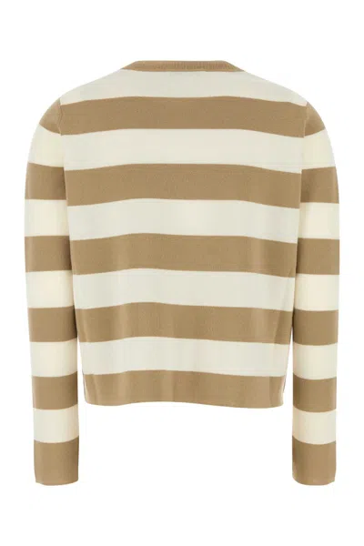 Max Mara Wool Sweater With Embroidered Stripes And Crew Neck In Neutral