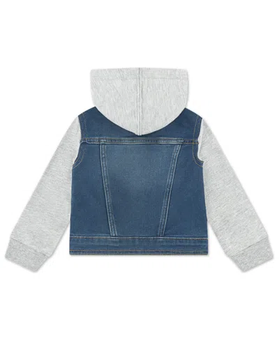 Levi's Baby Boys Hooded Trucker Jacket In Gray