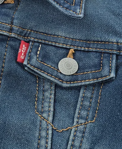 Levi's Baby Boys Hooded Trucker Jacket In Gray