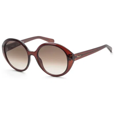 Ferragamo Fashion Women's Sunglasses In Brown