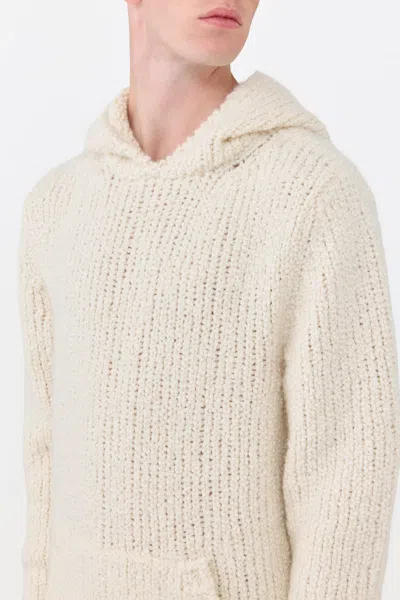 Gabriela Hearst Aditi Knit Hoodie In Ivory Cashmere Boucle In Neutral