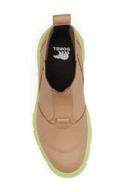 Sorel Caribou X Waterproof Platform Chelsea Boot In Brown