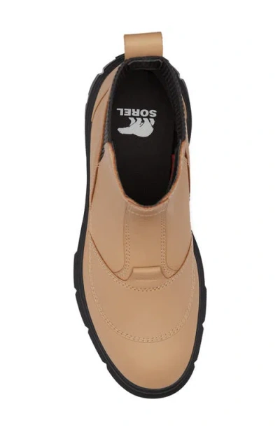 Sorel Caribou X Waterproof Platform Chelsea Boot In Brown