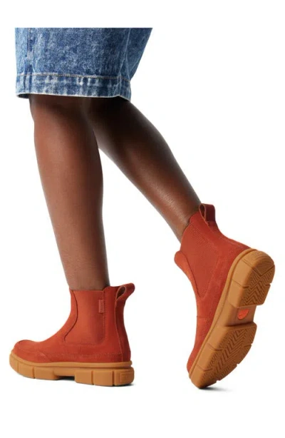 Sorel Explorer Chelsea Boot In Multi