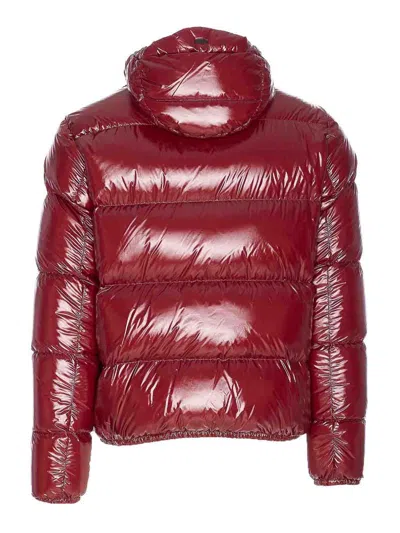 Herno Puffer-style Bordeaux Jacket With High Collar In Red