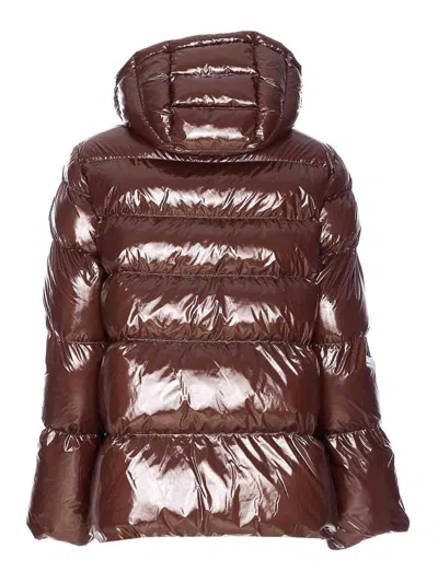 Pinko Eleodoro Down Jacket In Brown