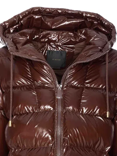 Pinko Eleodoro Down Jacket In Brown