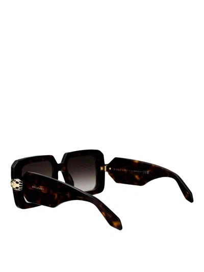 Bvlgari Sunglasses In Brown