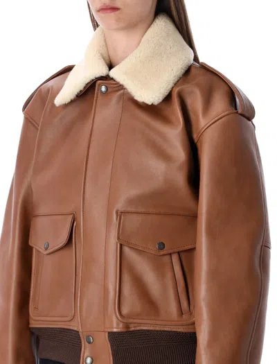 Saint Laurent Brown Leather Bomber Jacket With Shearling Collar In Brown