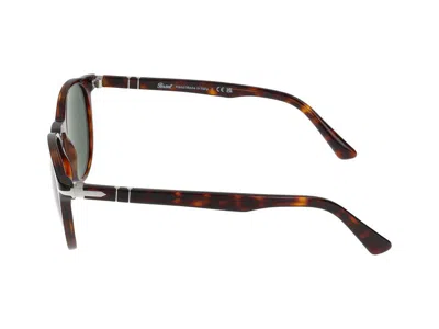 Persol Havana Acetate Sunglasses In Brown