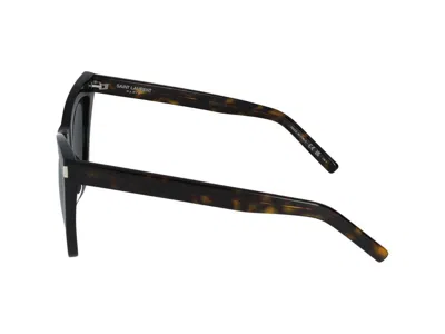 Saint Laurent Sunglasses In Brown