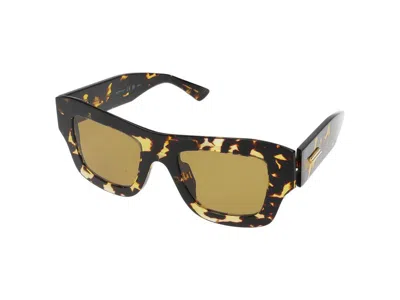 Bottega Veneta Sunglasses In Brown