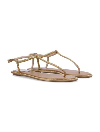 René Caovilla Crystals Diana Thong Sandals In Gold