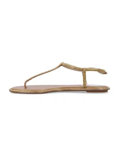 René Caovilla Crystals Diana Thong Sandals In Gold