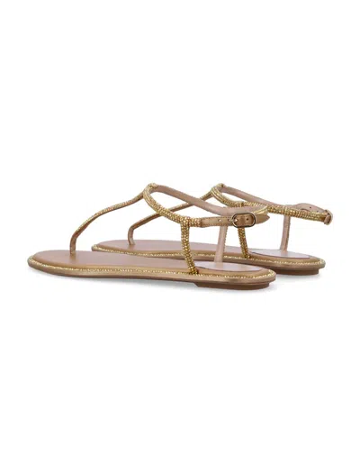 René Caovilla Crystals Diana Thong Sandals In Gold