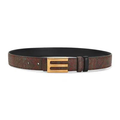 Etro Belt In Brown
